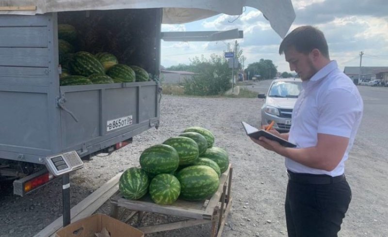 ИНГУШЕТИЯ. В Троицком провели рейдовое мероприятие по бахчевым культурам