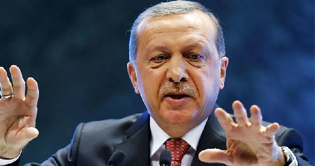 Эрдоган: «Мы можем прийти внезапно однажды ночью»