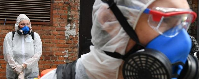 Роспотребнадзор: меры для предотвращения завоза бубонной чумы в Россию приняты