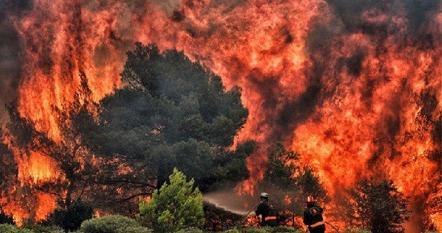 В Греции более 195 пожарных тушат сильный лесной пожар