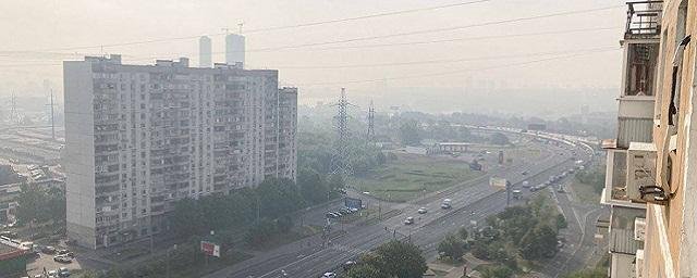 Аллерголог Польнер предупредила об опасности смога в Москве для людей с хроническими заболеваниями