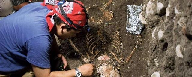 Археологи Университета Гриффита обнаружили прежде неизвестный вид древнего человека