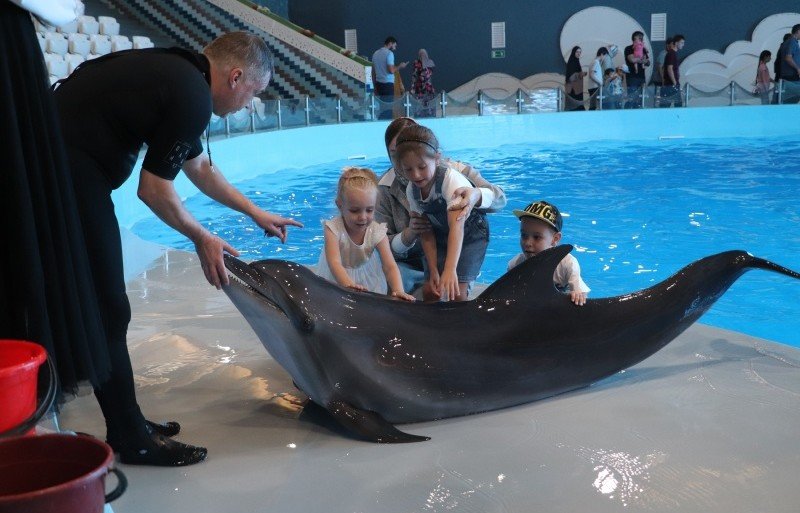 ЧЕЧНЯ. Дети, погибших при исполнении сотрудников МЧС, побывали на шоу дельфинов