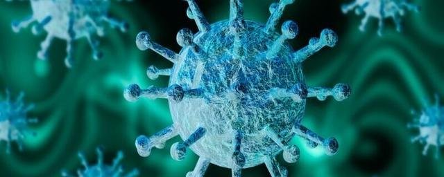 Ещё 153 человека заболели в Самарской области коронавирусом