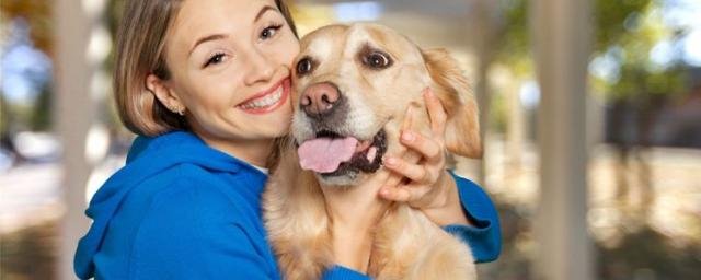 Японские ветеринары обнаружили, что собаки способны ощущать слезы радости при встрече любимого хозяина