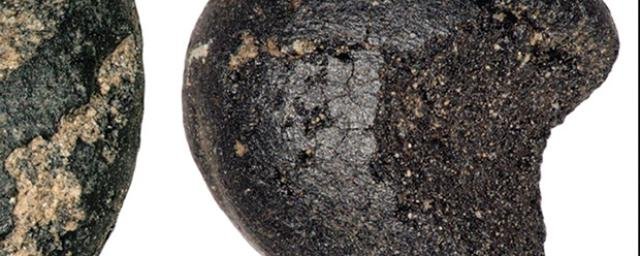 Команда археологов обнаружила древнейшие зерна проса на территории Британии