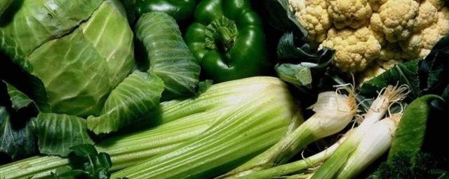 Потребление зеленых овощей облегчает симптомы болезней кишечника
