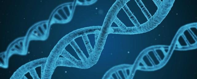 Российские ученые изобрели новый генетический тест для выявления рака на ранней стадии