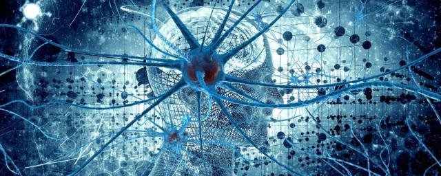 Учёные из Нанкинского университета разработали нейрон, который считывает активность головного мозга