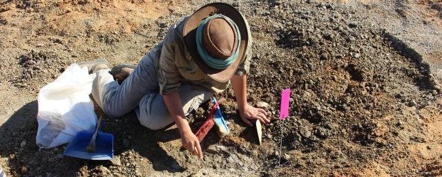 В Болгарии палеонтологи обнаружили останки восточно-европейских панд