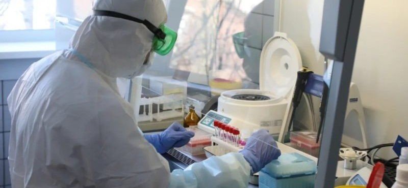 ЧЕЧНЯ. В регионе зарегистрировано 19 новых случаев заражения коронавирусной инфекцией