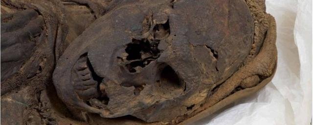 Томография смогла помочь в раскрытии убийств южноамериканских мумий доисторической эпохи