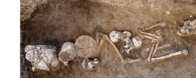 В Израиле в захоронении XIV века до н. э. нашли сосуды со следами опия