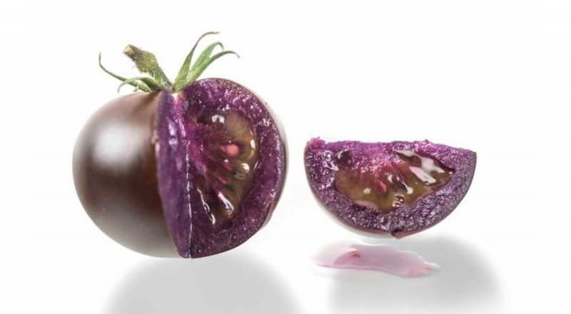В США начали выращивать фиолетовые ГМ-помидоры