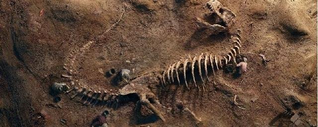 Впервые в Африке обнаружены останки древнейшего динозавра