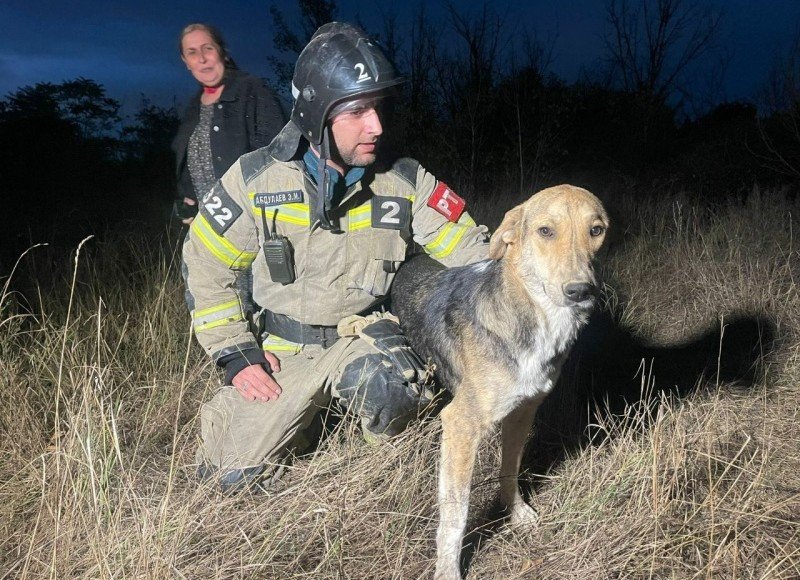 ЧЕЧНЯ. В Грозном пожарные спасли из 10-метровой ямы собаку