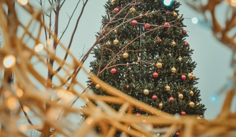 ЧЕЧНЯ. Жители Грозного поддержали отмену праздничных новогодних мероприятий