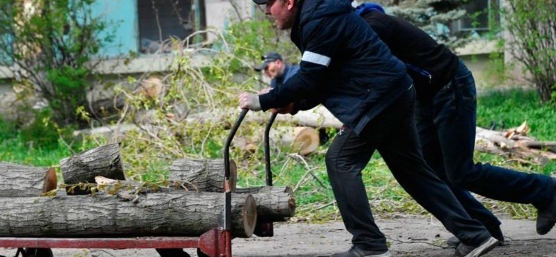 На фоне энергетического кризиса в Германии начали воровать дрова