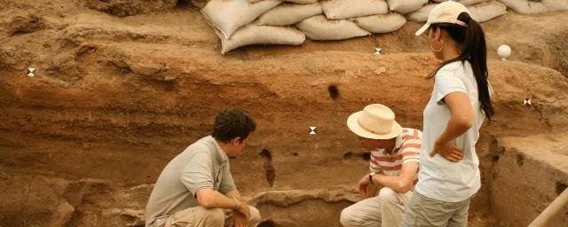 Польские археологи обнаружили в Беловежской пуще 789 древних курганов