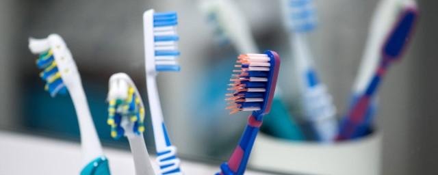 Стоматолог Лосев рассказал, что старая зубная щетка может стать рассадником инфекций