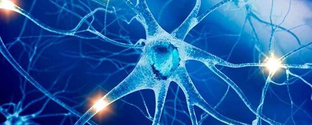 Ученые выяснили, что в клиторе на две тысячи нервных волокон больше, чем считалось ранее