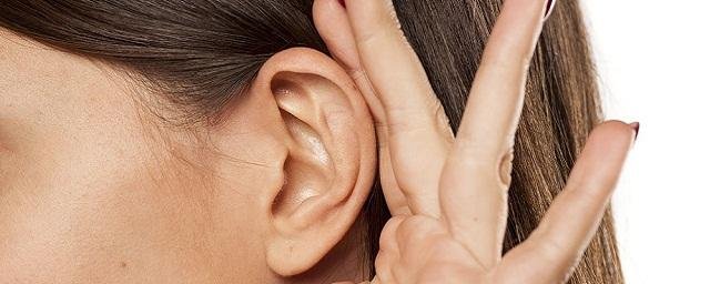 Ученые выявили молекулярный механизм работы внутреннего уха