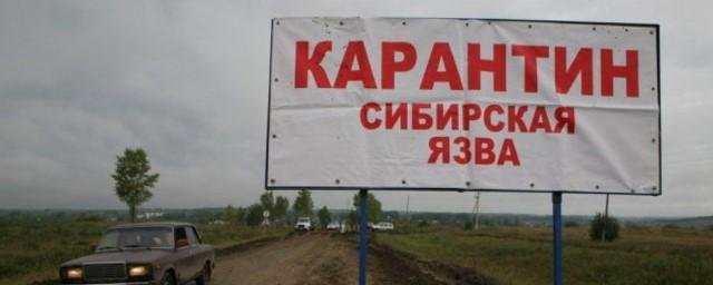 В Киевской области выявили заражение животного сибирской язвой