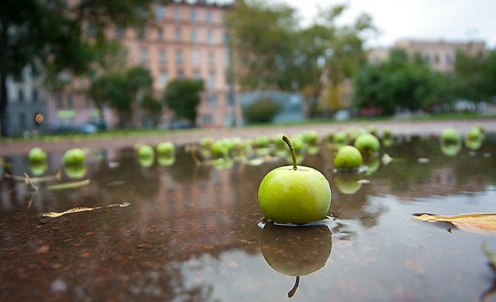 В СКФО отмечен "яблочный дождь"