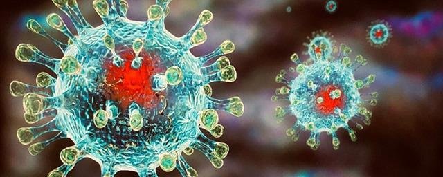 За сутки на Кубани зафиксировано 414 новых случая коронавируса