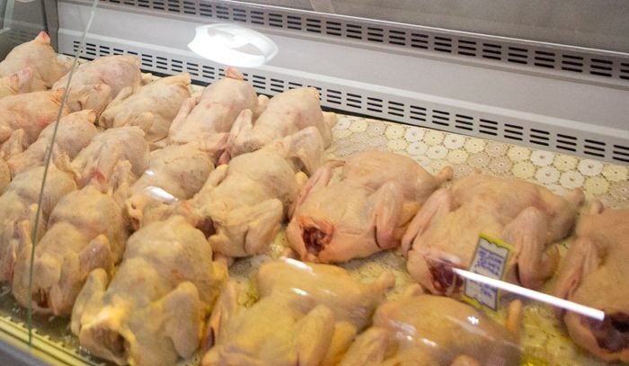 Иран планирует закупать в России птицеводческую продукцию