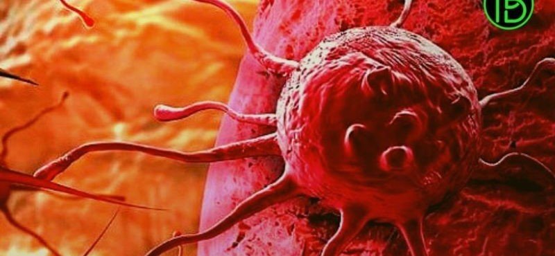 В РФ ученые разработали наночастицы для борьбы с раковыми клетками