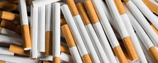 Шведские биологи заявили о появлении «мужских» особенностей поведения у курящих женщин