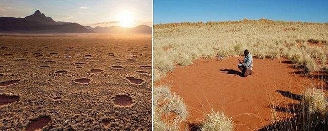Ученые объяснили происхождение магических кругов в Намибии
