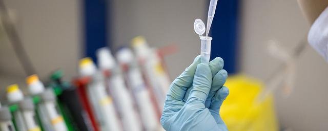 Ученые планируют создать на базе «Спутника V» вакцину от всех коронавирусов