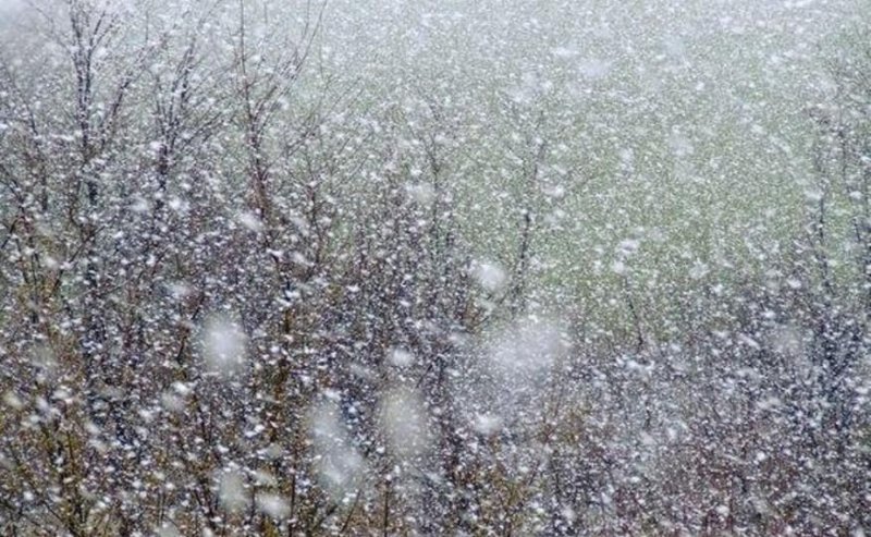 ЧЕЧНЯ. 20 декабря в Грозном ожидается мокрый снег