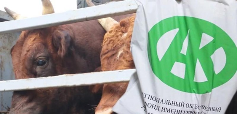 ЧЕЧНЯ. Более 600 грозненских семей получили мясо от Фонда Кадырова