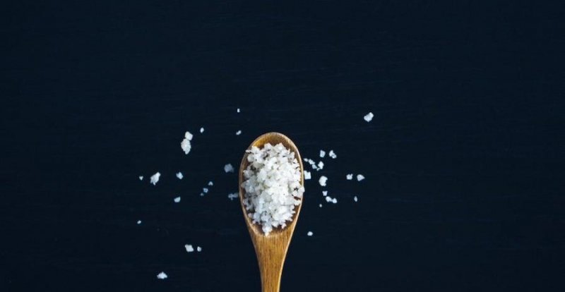 ЧЕЧНЯ. Выяснилось: избыток соли в диете может повысить уровень гормона стресса