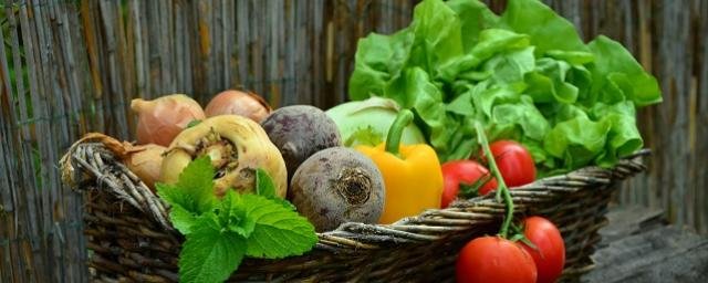 Диетолог Стародубова перечислила необходимые организму овощи и фрукты