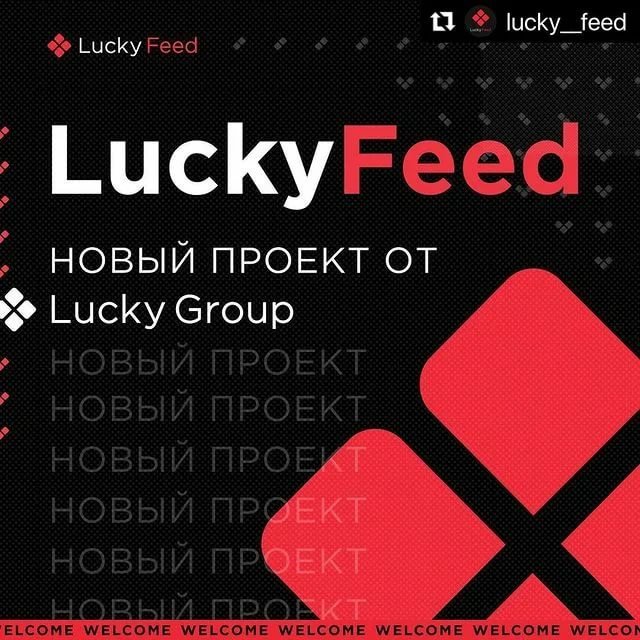 Обзор партнерской сети LuckyFeed