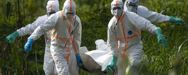 Российские авиаперевозчики усилят противоэпидемиологические меры из-за Эболы