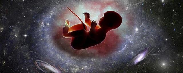 Российские ученые заявили, что космические полеты могут вызвать проблемы с беременностью