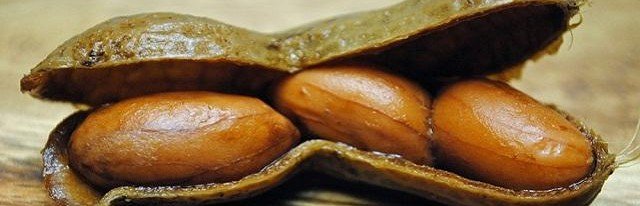Эксперты заявили, что вареный арахис не вызывает аллергии