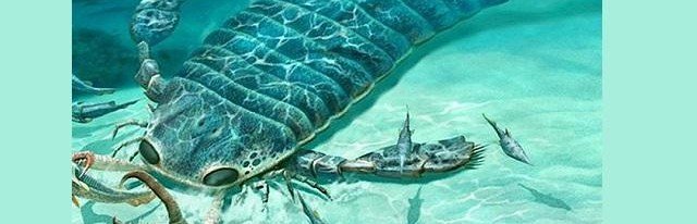 В Нью-Мексико обнаружили ископаемого морского скорпиона более метра в длину