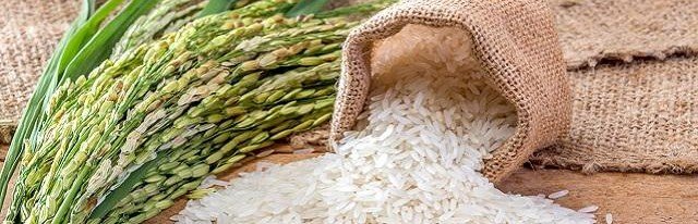 Нутрициолог Микитюк запретила людям с диабетом белый рис