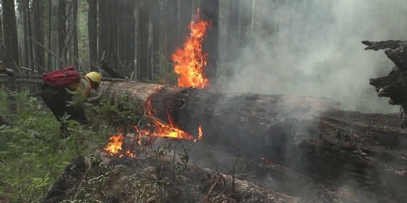 В России за сутки потушили сто природных пожаров