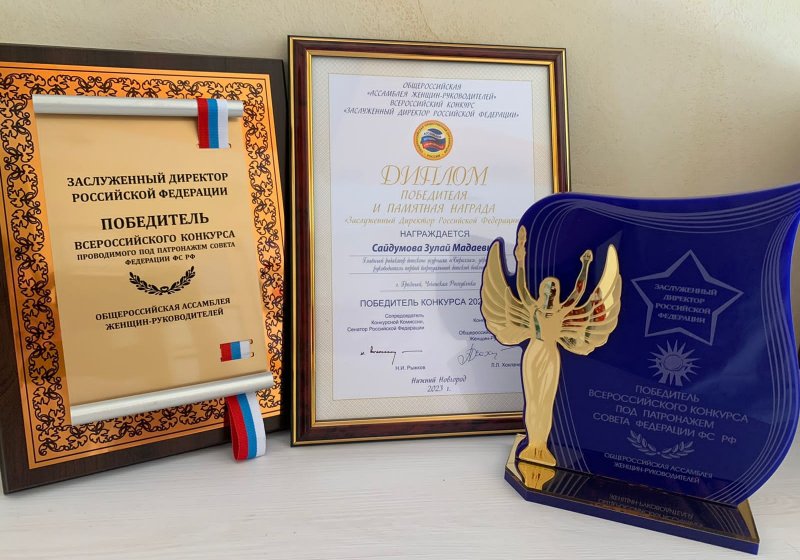 ЧЕЧНЯ. Чеченский детский просветительский проект «Первая виртуальная детская библиотека» получил новое признание