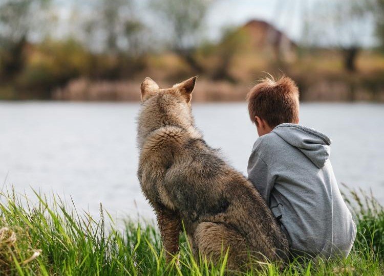 ЧЕЧНЯ. В Грозном за доброе отношение к животным наградили мальчика