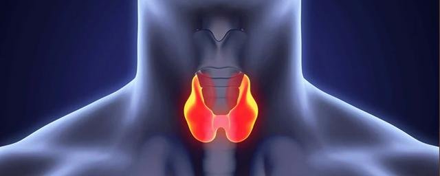 Эндокринолог Жаркова: Проблемы с щитовидной железой могут вызвать постоянную усталость