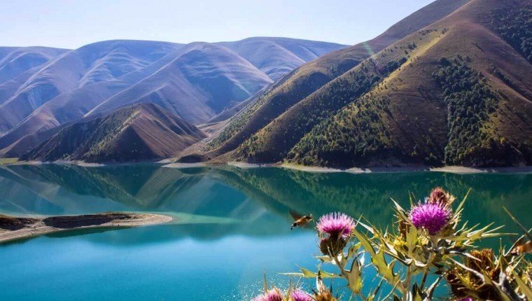 ЧЕЧНЯ. С 28 по 31 июля на «Кезеной-Ам» пройдет туристический фестиваль «Open Chechnya»