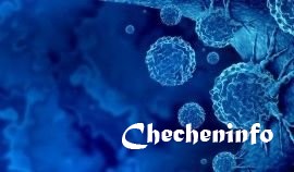 ЧЕЧНЯ. Ученые С-Петербургского политехнического университета использовали наночастицы для лечения раковых опухолей